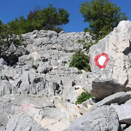 House ゲストハウス