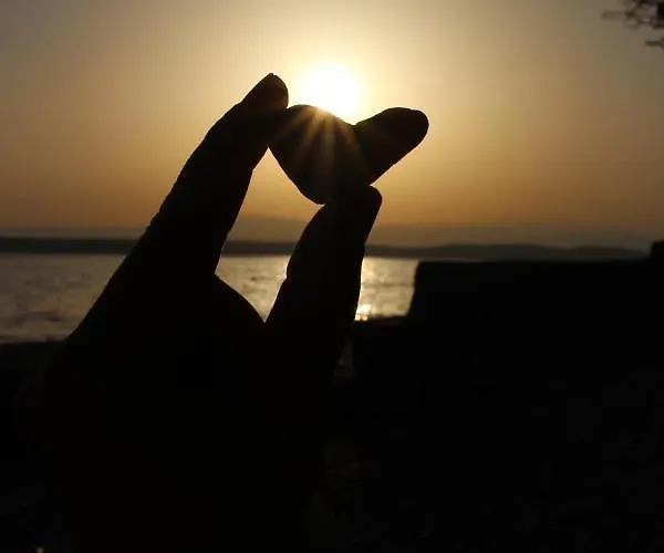 House ツリクヴェニツァ