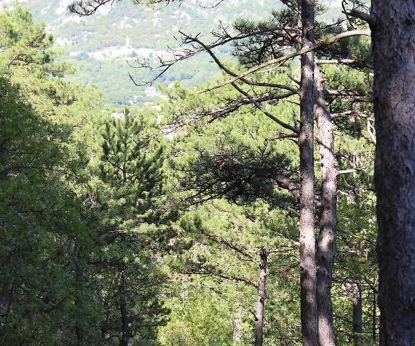 House ゲストハウス