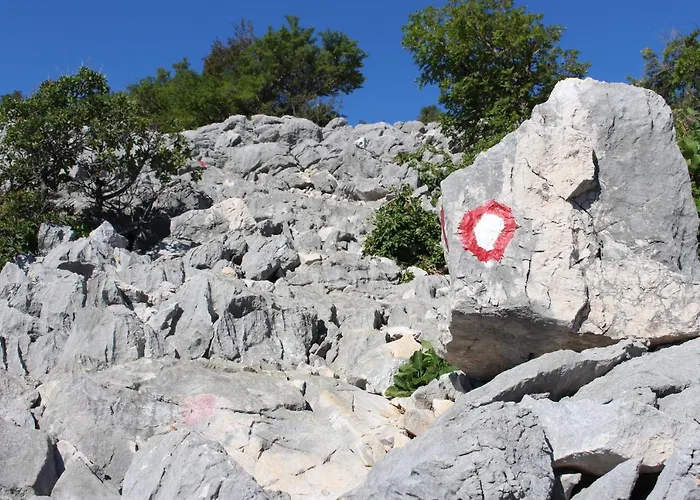 House ゲストハウス